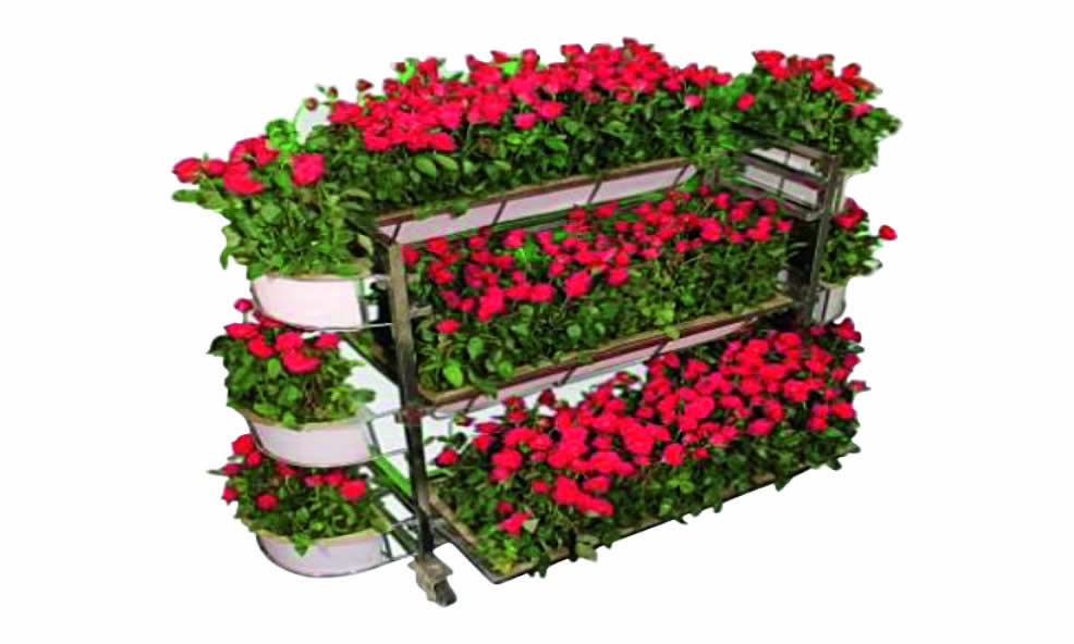 Flower Trolley/Planter
